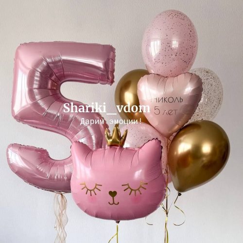 Кошечка принцесса розоваяс короной на 5 лет девочки