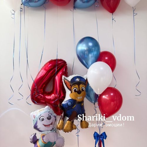 Воздушные шарики щенячий патруль щенок Гонщик и щенок Эверест на 4 года сына, дочки, мальчика, девочки
