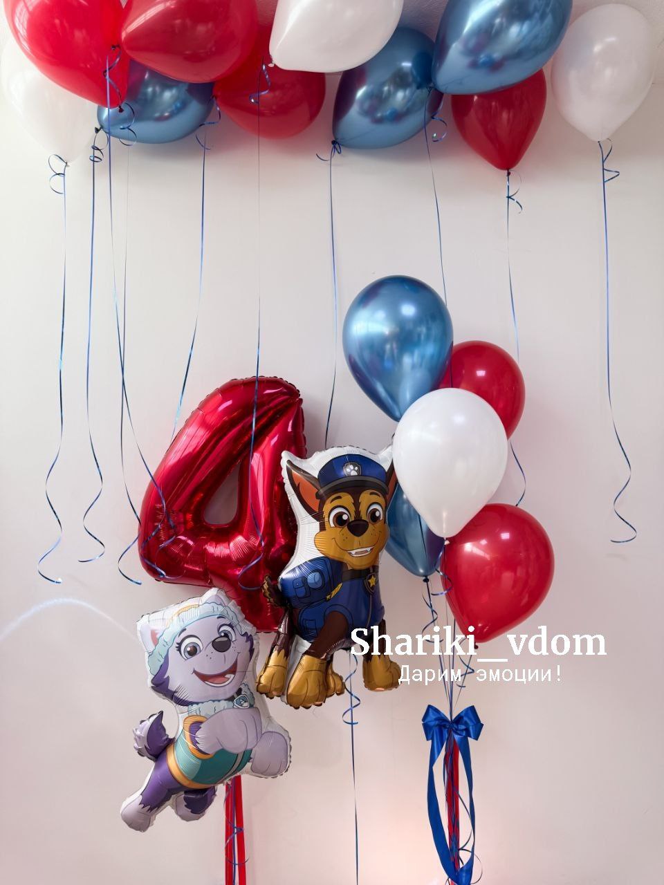 Воздушные шарики щенячий патруль щенок Гонщик и щенок Эверест на 4 года сына, дочки, мальчика, девочки