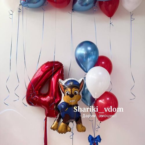 Воздушные шарики щенячий патруль Гонщик на 4 года сына, дочки, мальчика, девочки