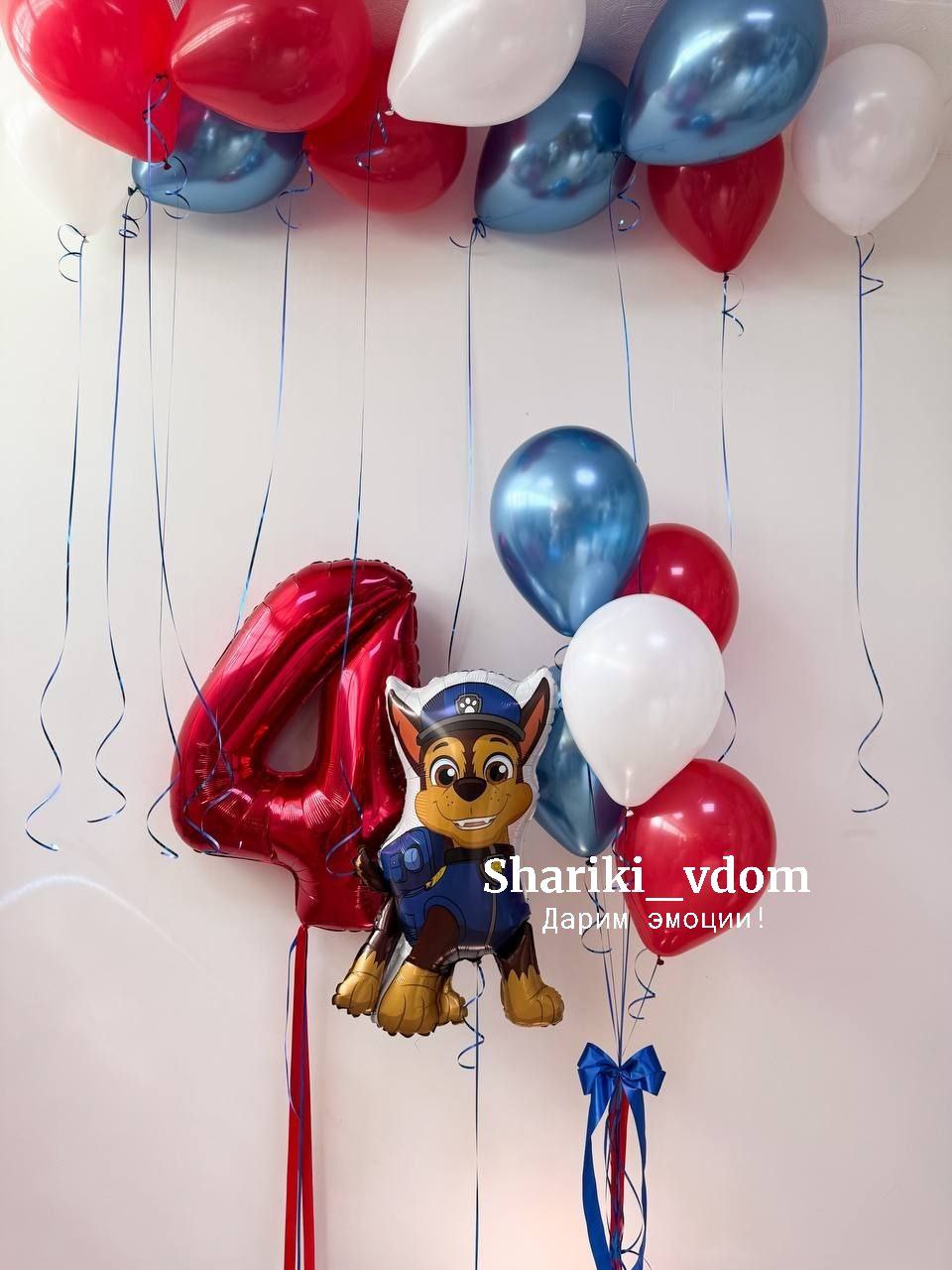 Воздушные шарики щенячий патруль Гонщик на 4 года сына, дочки, мальчика, девочки