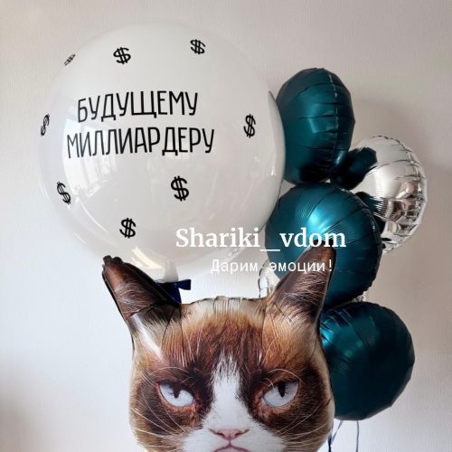 Сет бирюзовый будущему миллиардеру с фигурой кот сердитый для мужчины, мужа, босса  парня - 7 шаров