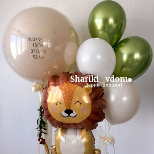 Выписка сына, мальчика с фигурой Лев- 9 шаров