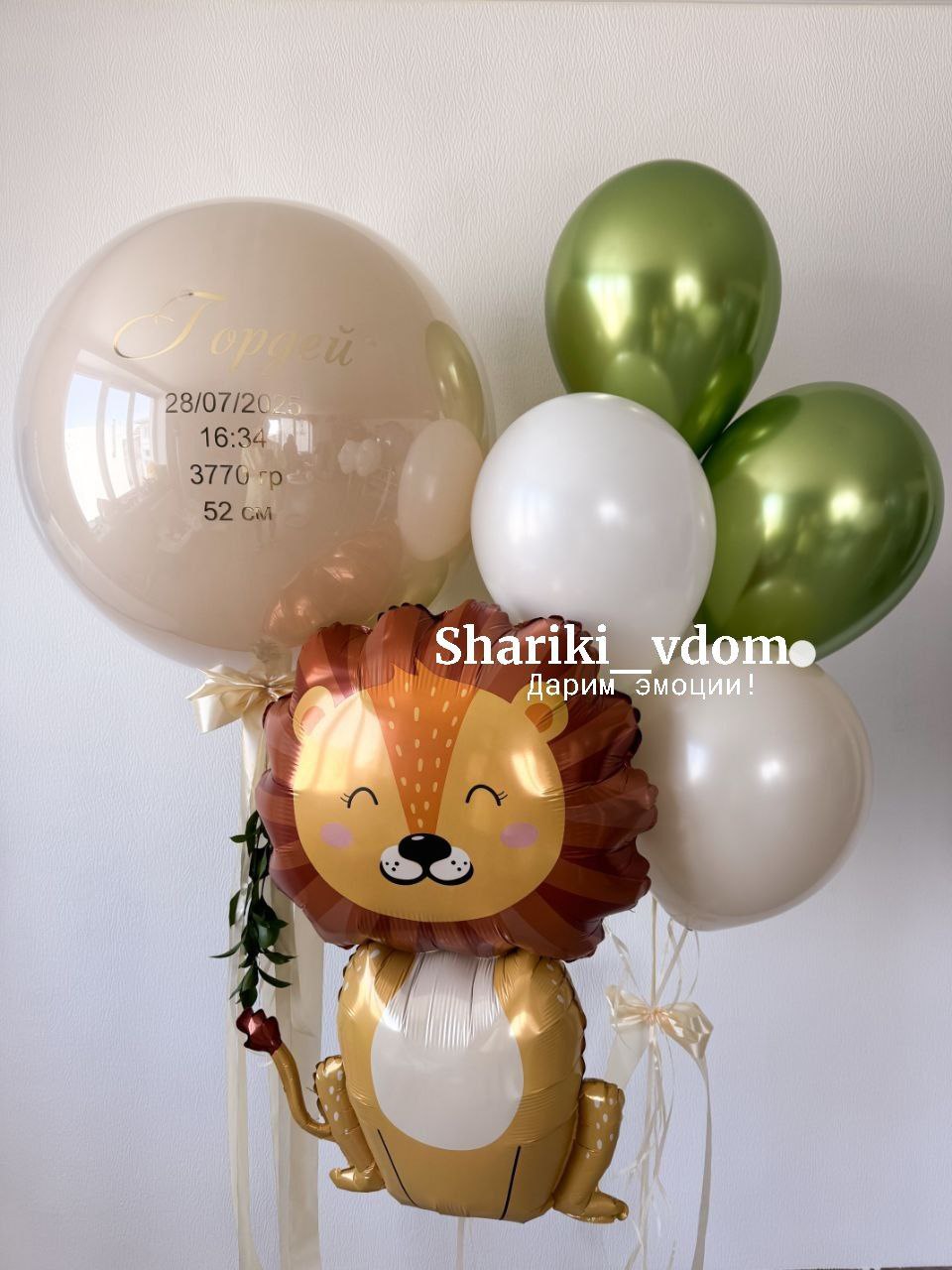 Выписка сына, мальчика с фигурой Лев- 9 шаров