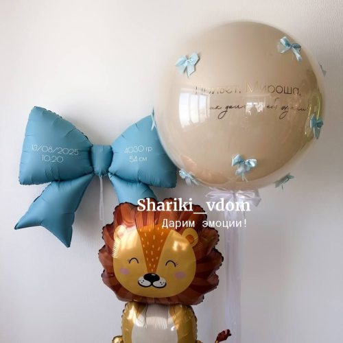 Шары на выписку из роддома мальчика , сына